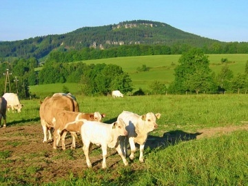 Chalupa II Pěkov - Broumovsko - Adršpašské skály