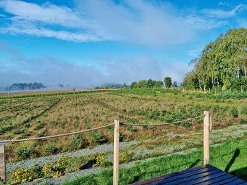 Glamping s asnm vhledem - Skuhrov nad Blou