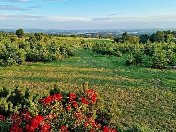 Chata Pijte pobejt - Bl - Orlick hory