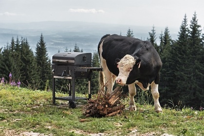 Wellness chalupa �ern� hora - Krkono�sk� magistr�la