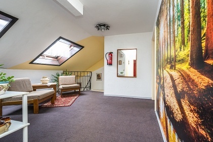 Chata Velk� Javor - Bikepark �pi��k - �umava