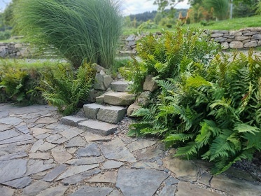 Chalupa s v��ivkou a rybn�kem - Rozhledna Bukovka