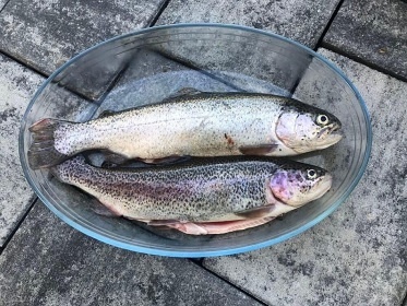 Chalupa s v��ivkou a rybn�kem - Rozhledna Bukovka