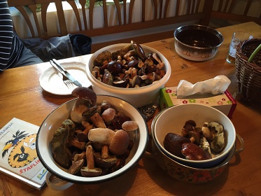 Chalupa se saunou - P�nkav�� vrch - Krkono�e