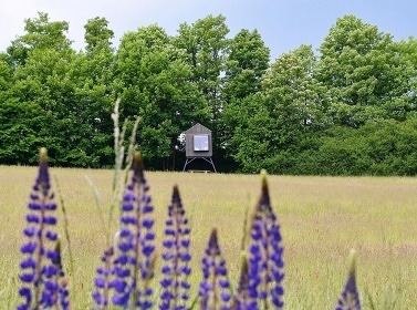 Posed Palouček - glamping u přehrady Vír - Svratka