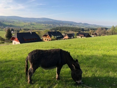 Chalupa Šumava - Zadov - Stachy - Horská Kvilda