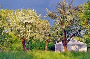 Glamping s wellness - 4 Jurty - St�edn� �echy