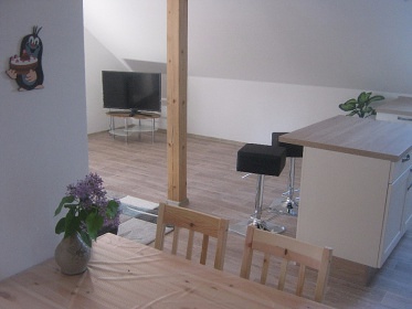 Chata Hlinice s baznem - apartmn jin echy