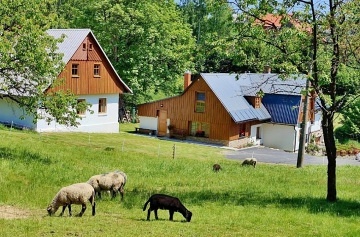 Apartm�n Krkono�e - Tom�ovy vrchy - Zlat� Ole�nice