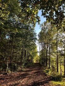 Glamping přírodní park Dbán - Křivoklátsko