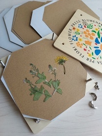 Glamping prodn park Dbn