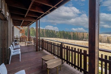 Horsk chata se saunou - Hrub Jesenk - Karlov