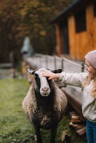 Glamping ubytovn se zvtky - Jizersk hory