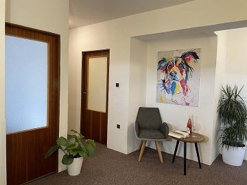 Rekrean dm s baznem - Velk Pavlovice