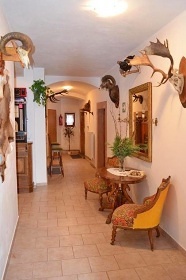 Penzion �pi��k - �ern� hora - Jansk� L�zn�