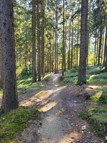 Chata u jezera Lipno - Království lesa - Dvorečná