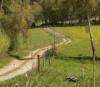 Šumavský glamping - Čachrovská tvrz - Strážov