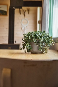 Šumavský glamping - Čachrovská tvrz - Strážov