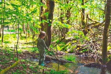 Glamping Maringotka - Bukov Hora - Doln Morava