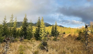 Srub Tatransk Lomnica - 2 chaty Vysok Tatry