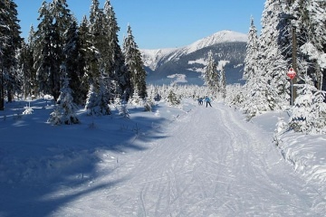 Horsk chalupa Krkonoe - Jansk Lzn - ern hora