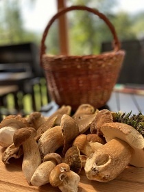 Chata Řeka - Smilovice - Střítež - Beskydy