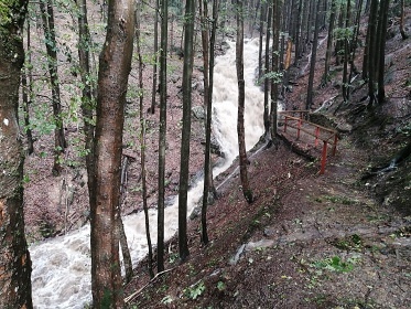 Horsk chalupa Krkonoe s baznem - Lys hora