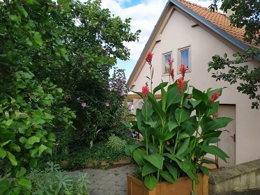 Chata a vinn sklep - Bulhary - CHKO Plava