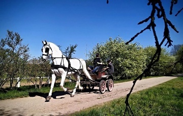 Wellness chata - Řečany n. L. - Kladrubské Polabí