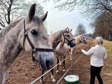 Wellness chata - Kladrubsk Polab - Labtn