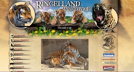 Wellness chata - Kladrubsk� Polab� - Lab�t�n