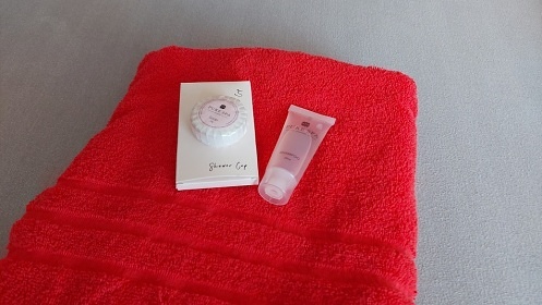 Chalupa s baz�nem - Toulovcovy Ma�tale