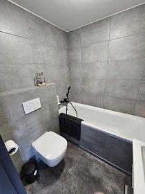 Chaty �ern� v Po�umav� - �l�bek - p�ehrada Lipno