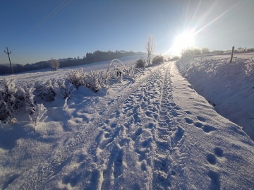 Chalupa Šumava - Zechovice - Volyně - Stachy