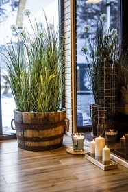 Chalupa s wellness - Doln� Morava - �erven� Potok