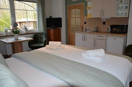 Penzion s baznem - Slavkovsk les - Podles