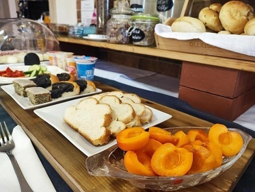 Penzion s baznem - Slavkovsk les - Podles