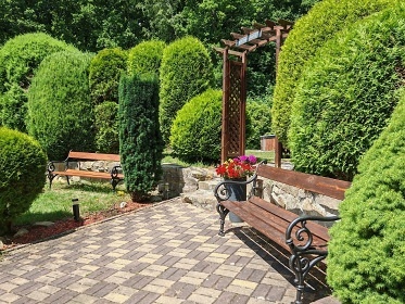 Penzion s baznem - Slavkovsk les - Podles