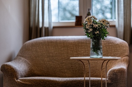 Penzion s baznem - Slavkovsk les - Podles