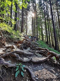 Chalupa J�no��kove Diery - Rozsutec - Mal� Fatra