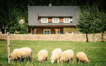 Roubenka s výhledem - Beskydy - Kunčice p. O.