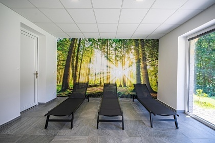 Chata s wellness - Loučná - Kouty nad Desnou