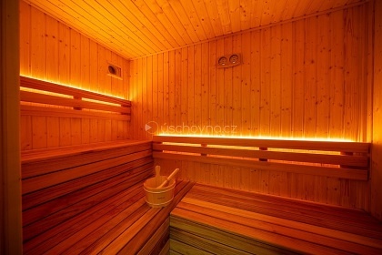 Chalupa s wellness - �ervenohorsk� sedlo - Ov��rna