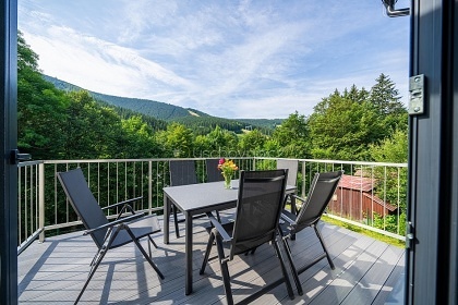 Chalupa s wellness - �ervenohorsk� sedlo - Ov��rna