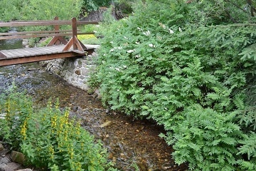 Chata u are�lu Kop�ivn� - �elezn� vrch - Jesen�ky