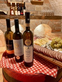 Penzion bazn a vinn sklep - Plava - Lednice