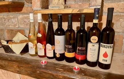 Penzion bazn a vinn sklep - Plava - Lednice