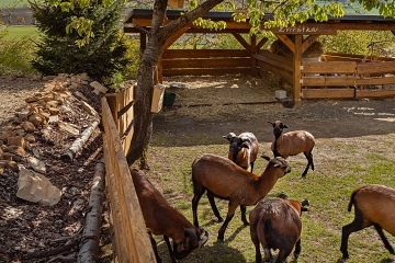 Rodinn� chalupa s baz�nem - �esk� r�j - Ji��nsko