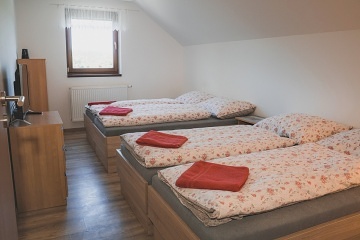 Chalupa a vinn� sklep Hustope�sko - Nov� Ml�ny