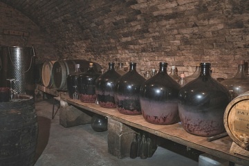 Chalupa a vinn� sklep Hustope�sko - Nov� Ml�ny